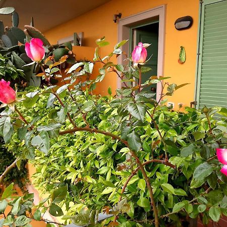 マッサ Casa Marta Bed & Breakfast エクステリア 写真